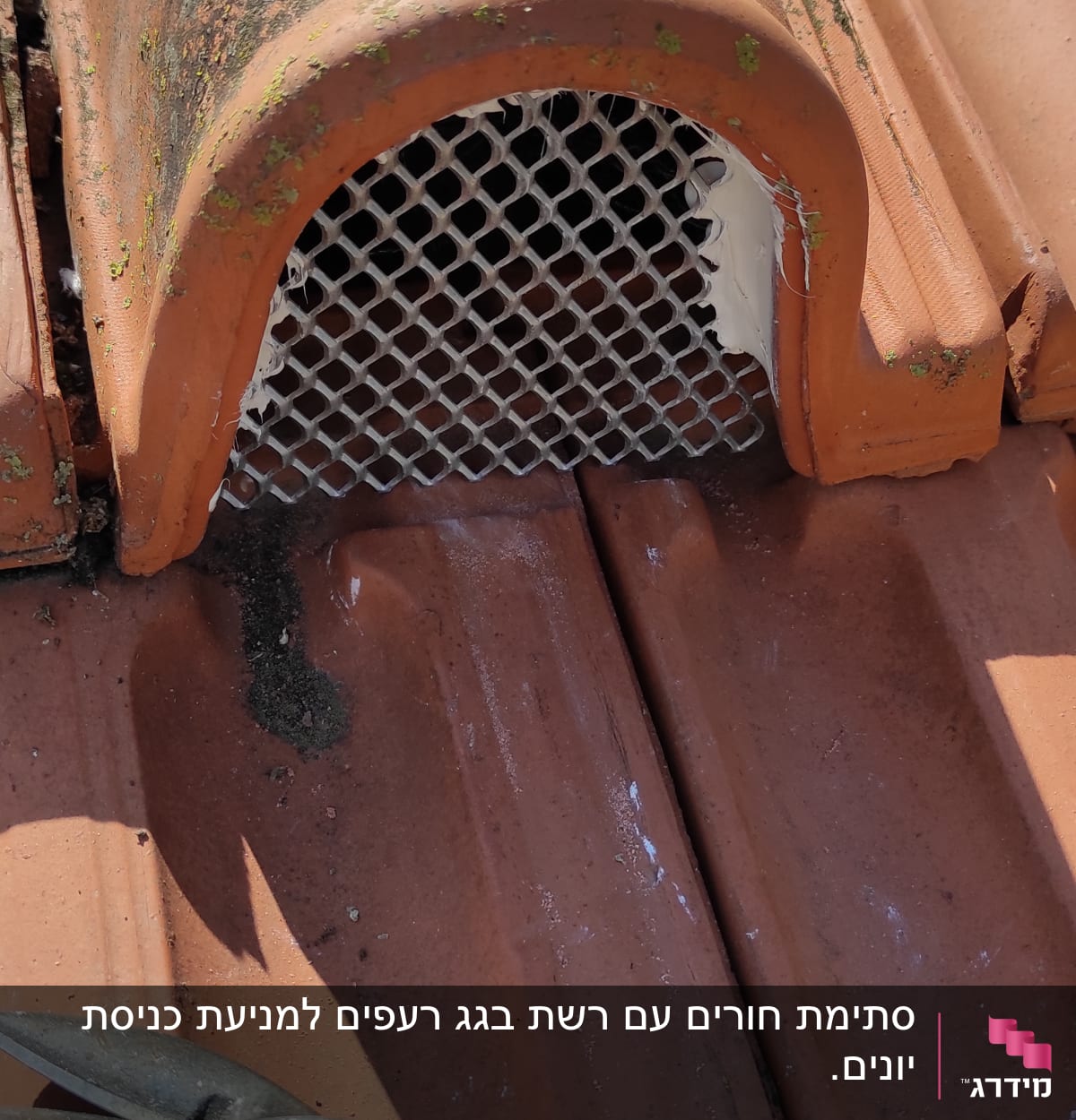 אריחי גג חרס עם רשת מתכת